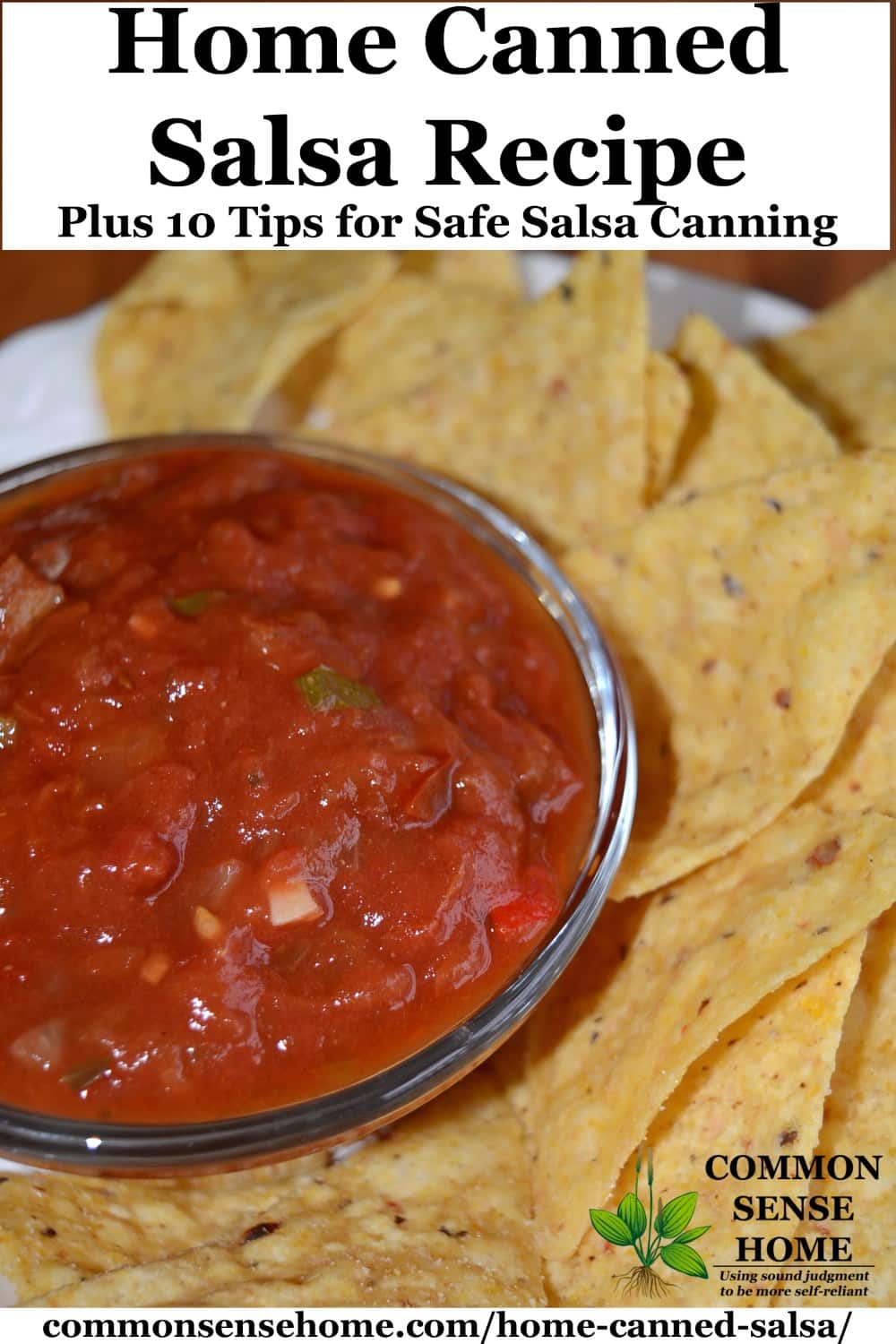 Home Canned Salsa Recipe Plus 10 Tips For Canning Salsa Safely