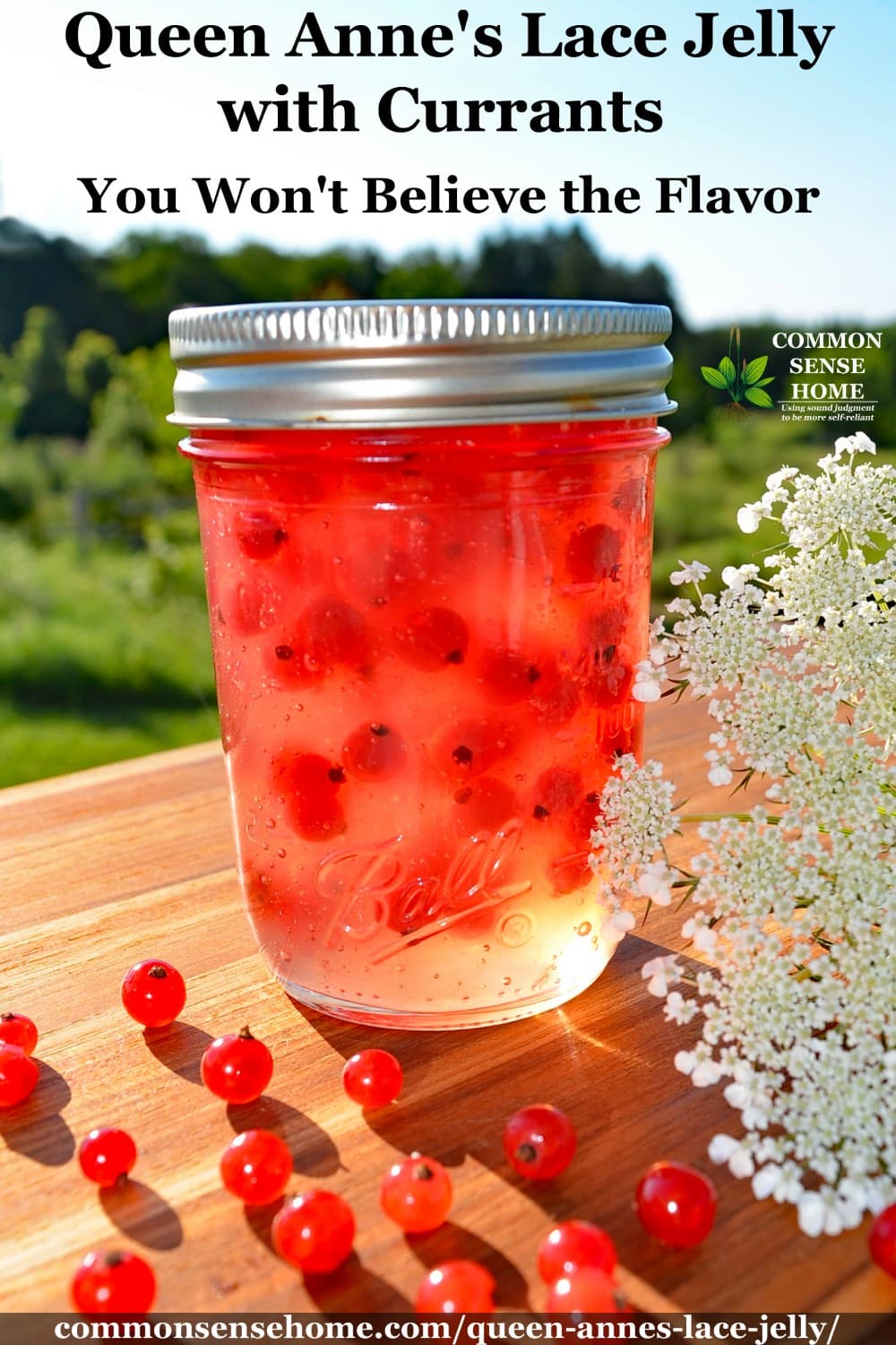 queen anne's lace jelly jar