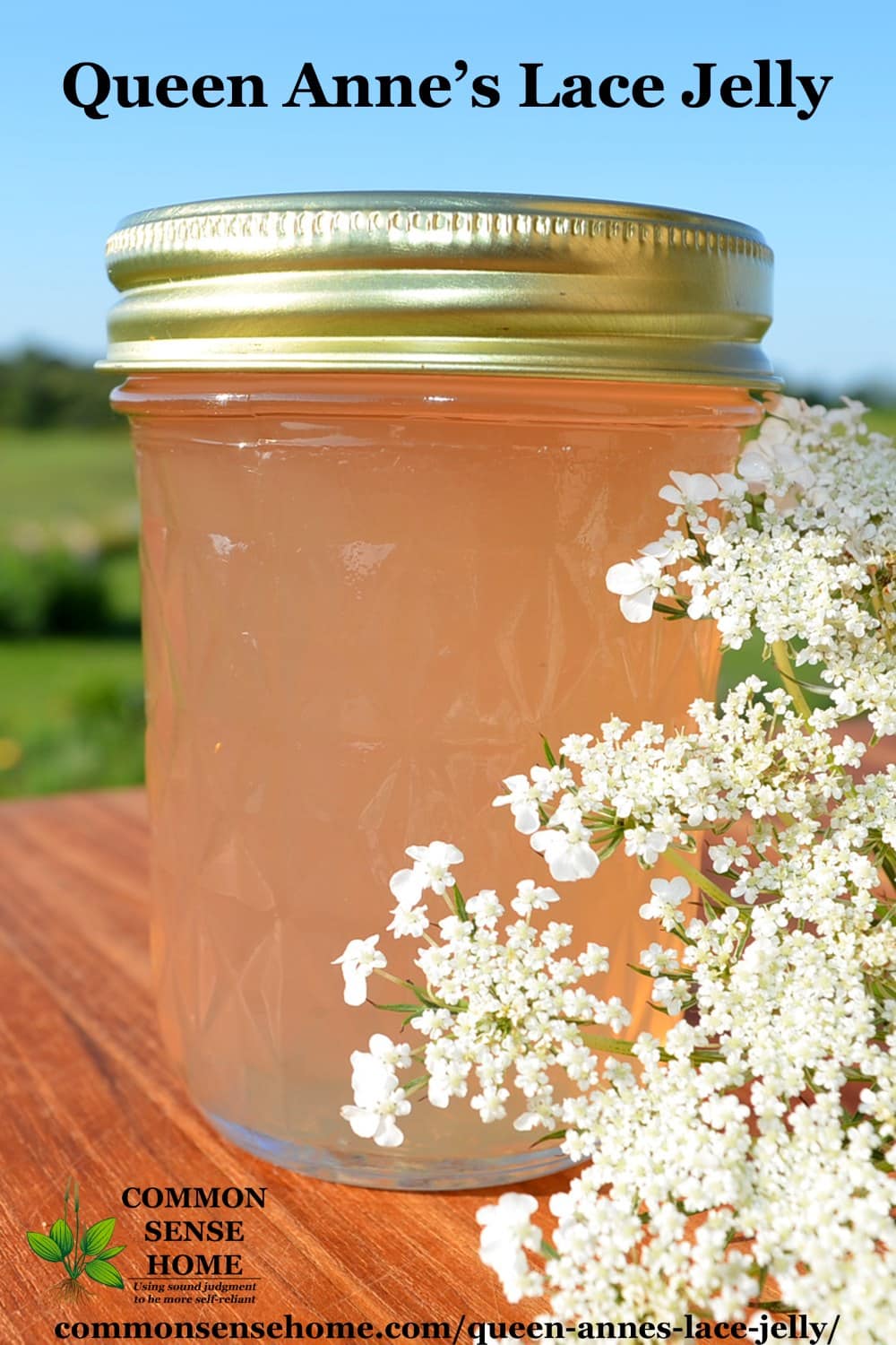 queen anne's lace jelly with blossoms