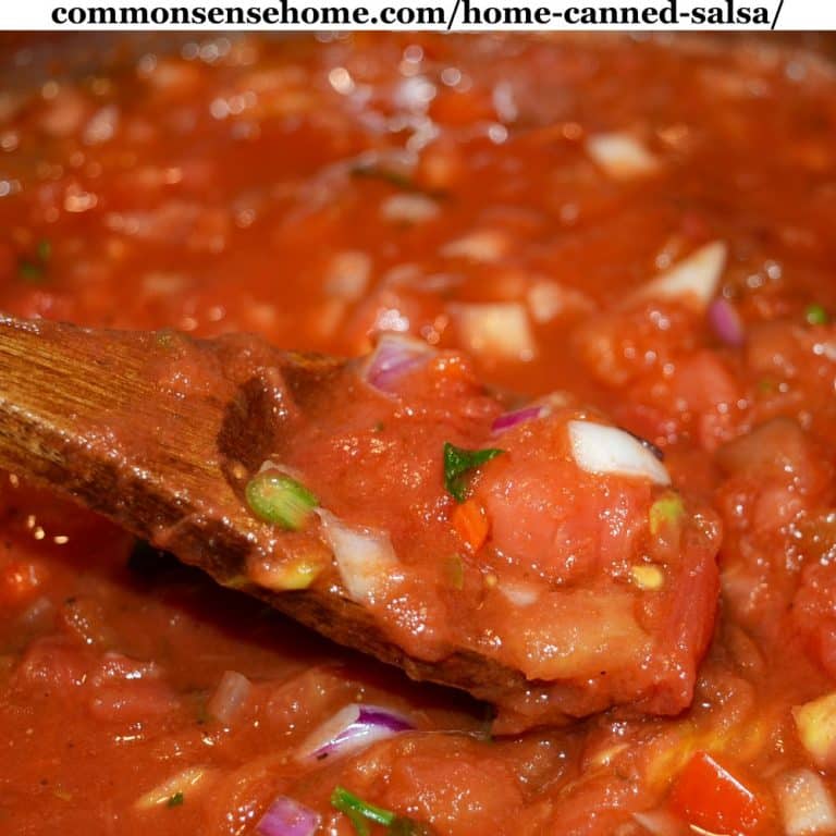 Home Canned Salsa Recipe + 10 Tips for Canning Salsa Safely