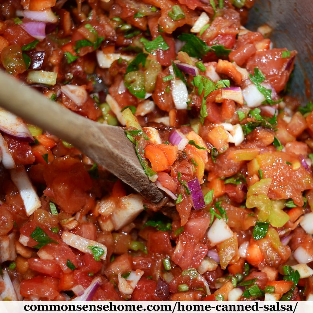 close up of homemade salsa