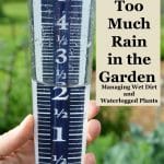too much rain in garden