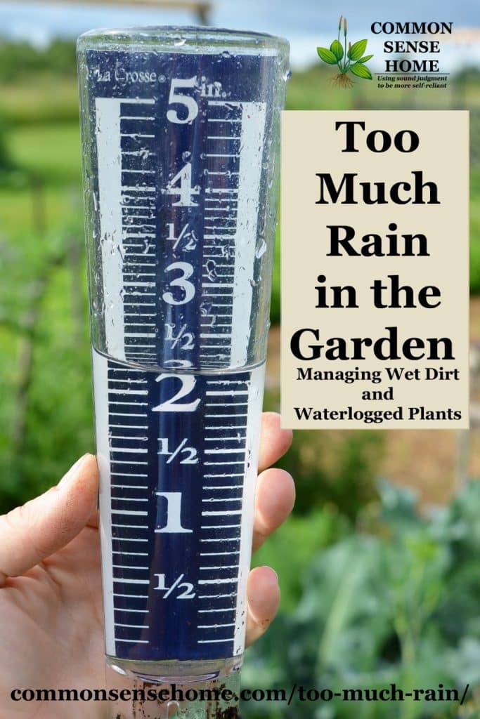too much rain in garden