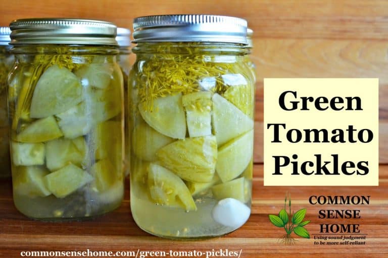 Green Tomato Pickles - Easy Pickled Green Tomato Recipe for Canning
