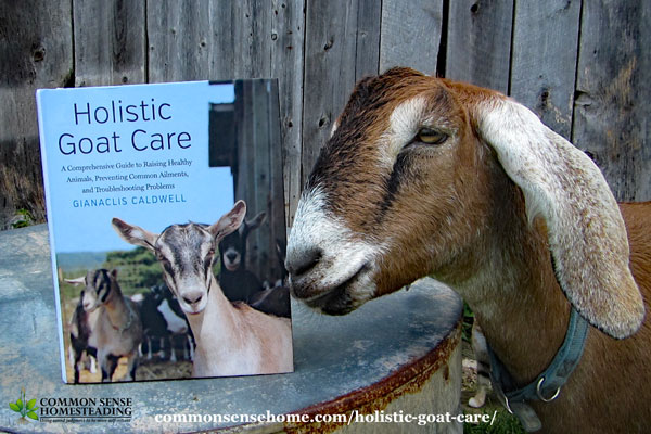Holistic Goat Care – The Owner’s Manual for Healthy Goats