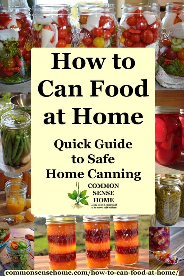 Texte - "Comment mettre des aliments en conserve à la maison" avec des images de conserves maison"How to Can Food at Home" with images of home canned foods