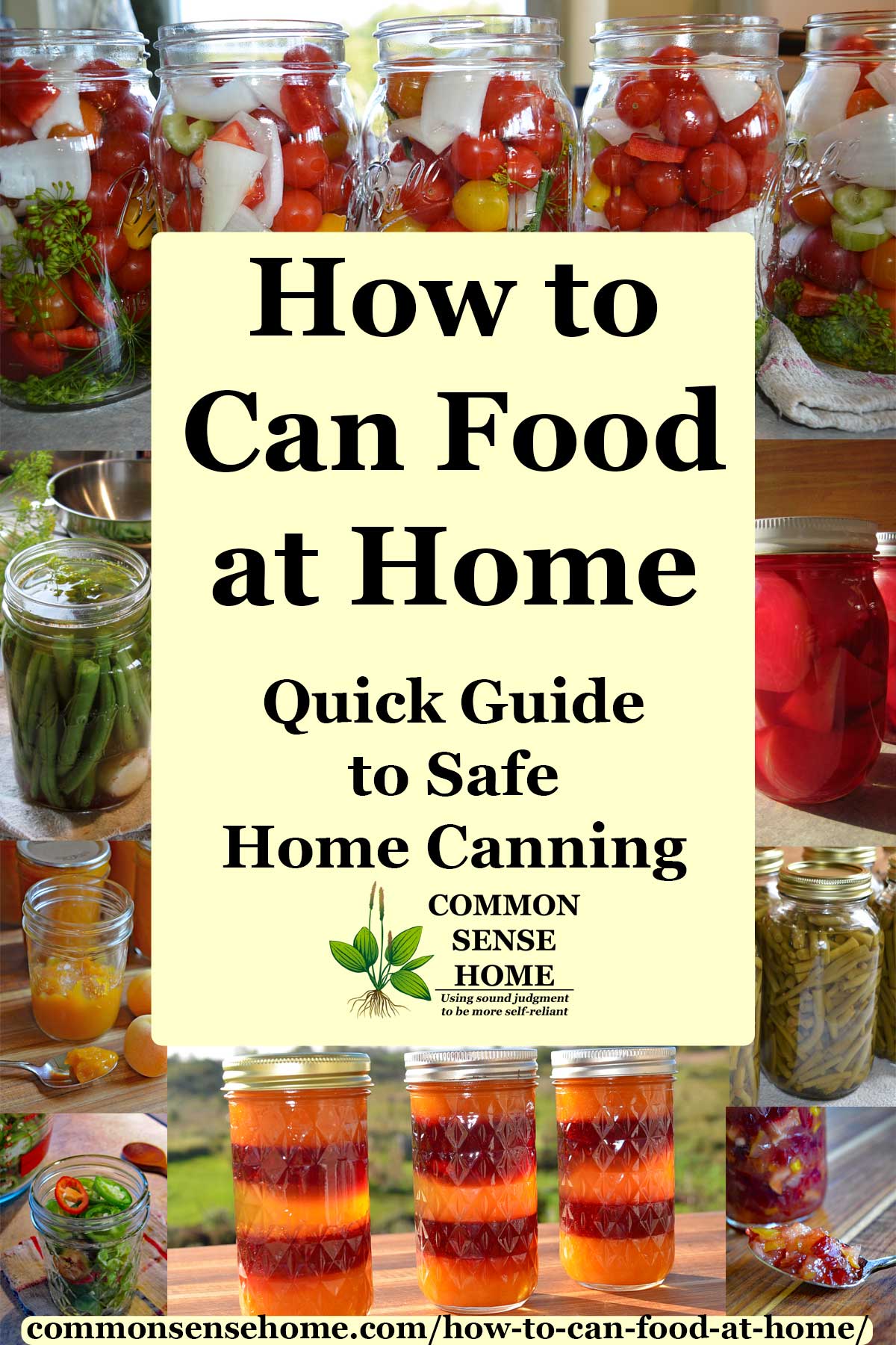 Text - "How to Can Food at Home" with images of home canned foods