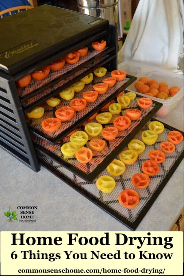 drying tomatoes in a dehydrator