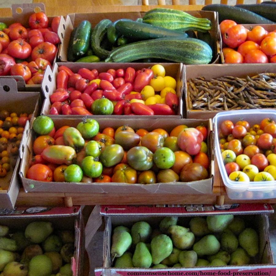 an assortment of fruits and vegetables ready for preserving