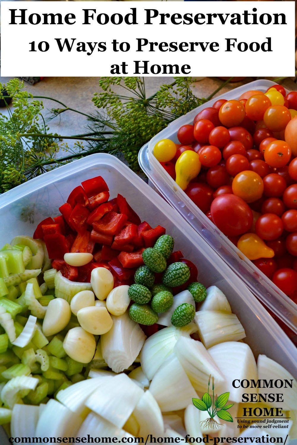 Home Food Preservation 10 Ways To Preserve Food At Home