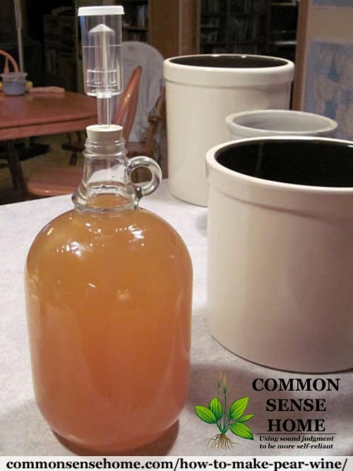 pear wine carboy