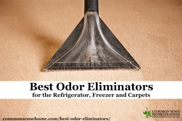 Best odor outlet remover for carpet