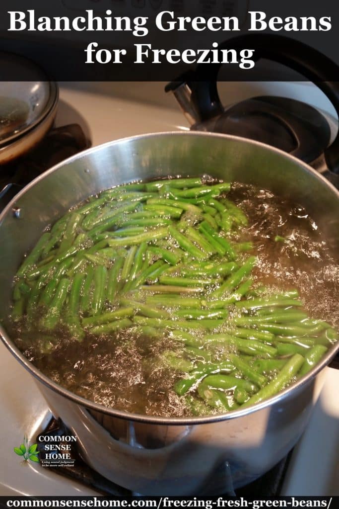 Freezing Green Beans With or Without Blanching, Step by Step