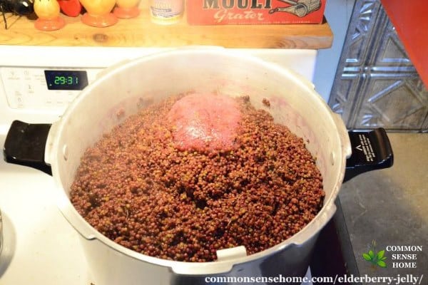 cooking down elderberries