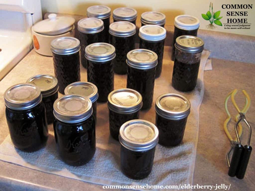 elderberry jelly jars