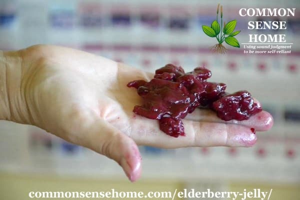 elderberry jelly mistake