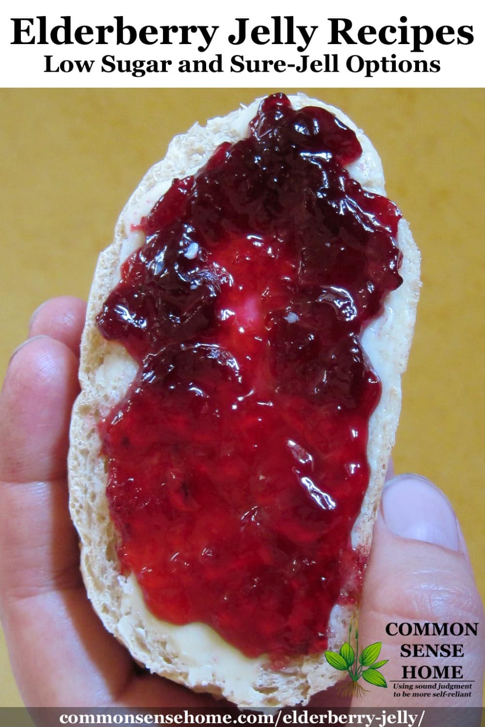 elderberry jelly on toast