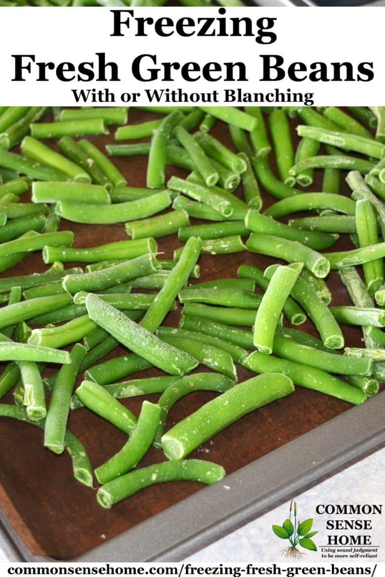 Freezing Green Beans With or Without Blanching, Step by Step
