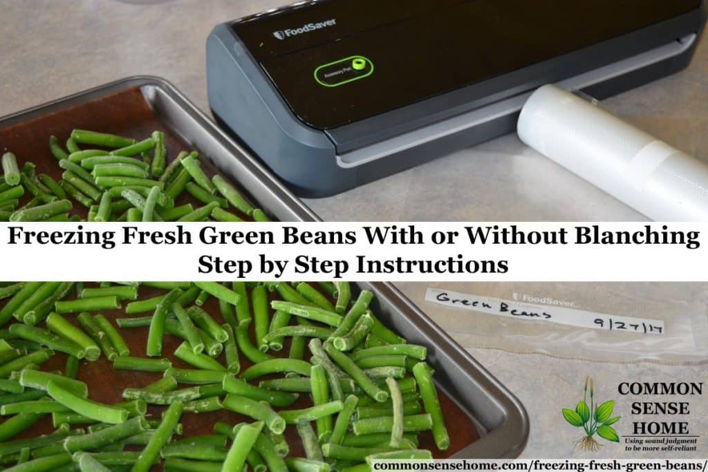 freezing fresh green beans - flash frozen beans on cookie sheet on left with vacuum sealer on right