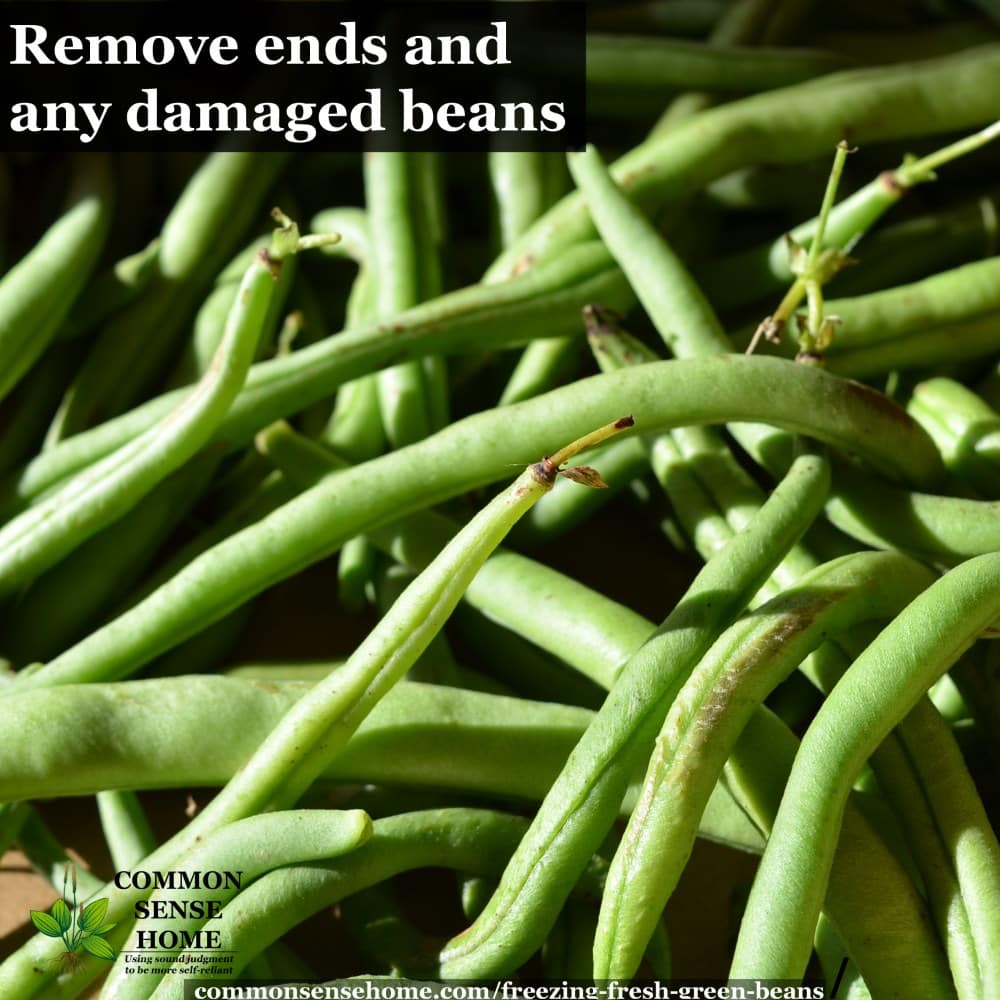 fresh green beans for freezing