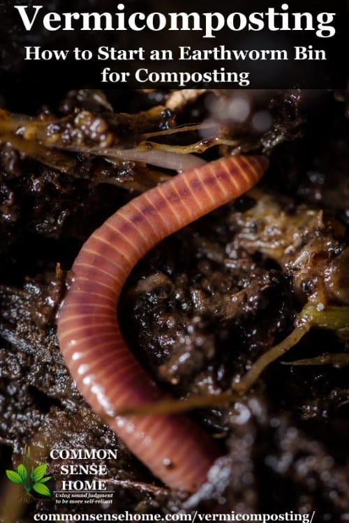 Vermicomposting - How to Start an Earthworm Bin for Composting