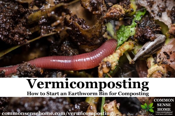 Vermicomposting – How to Start an Earthworm Bin for Composting