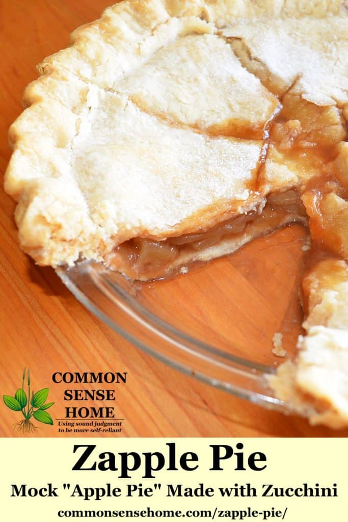 Zucchini Apple Pie (Mock Apple Pie Made with Zucchini)