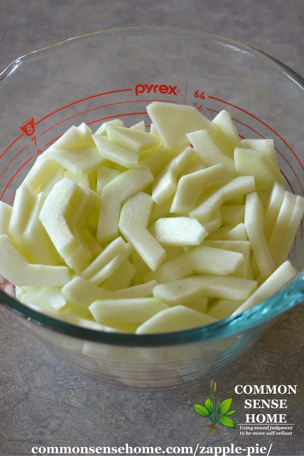 mock apple pie zucchini slices
