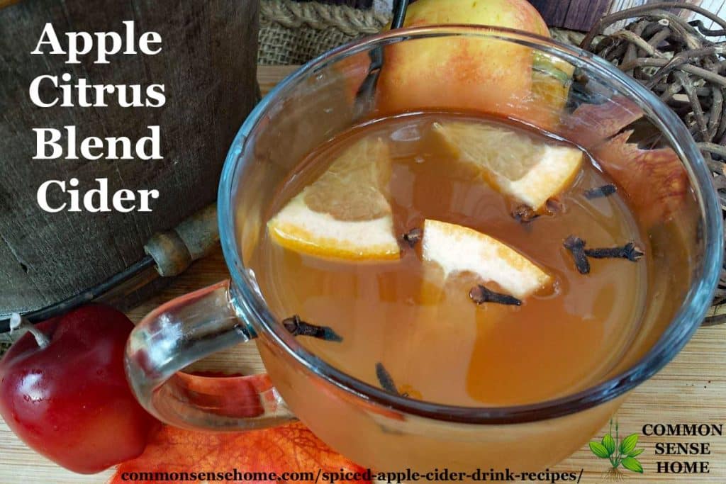 Apple citrus blend cider