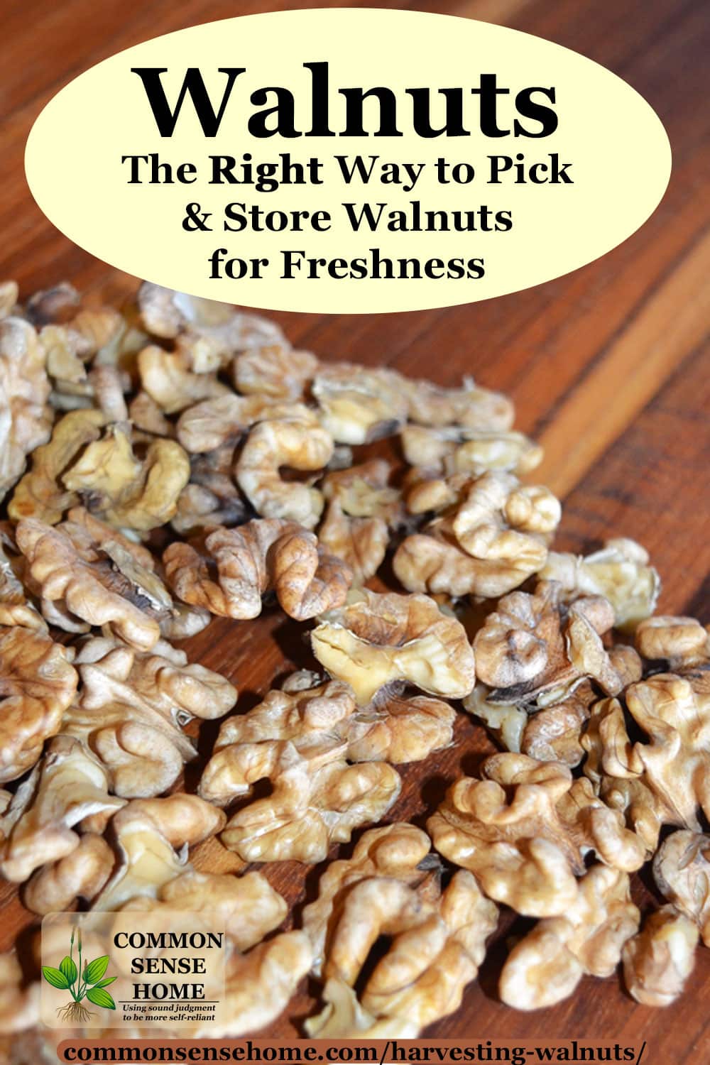 fresh walnuts on cutting board