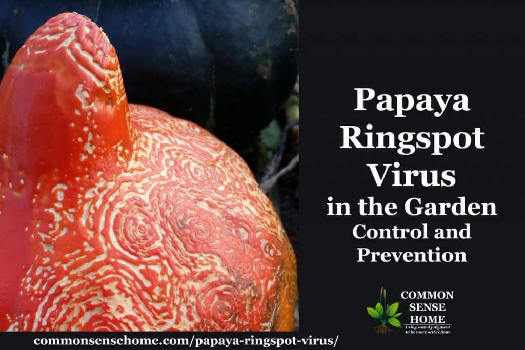 Verschillende goederen Vertrappen gewoon Papaya Ringspot Virus in the Garden - Control and Prevention