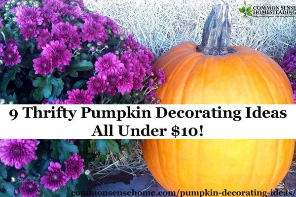 Fun and easy pumpkin decorating ideas with fresh pumpkins, flowers and herbs from your garden, common pantry and craft items to brighten any room.