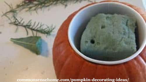 Fun and easy pumpkin decorating ideas with fresh pumpkins, flowers and herbs from your garden, common pantry and craft items to brighten any room.