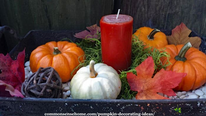 Fun and easy pumpkin decorating ideas with fresh pumpkins, flowers and herbs from your garden, common pantry and craft items to brighten any room.