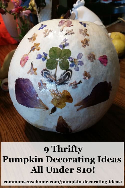 Fun and easy pumpkin decorating ideas with fresh pumpkins, flowers and herbs from your garden, common pantry and craft items to brighten any room.