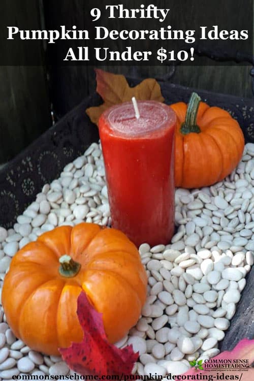 Fun and easy pumpkin decorating ideas with fresh pumpkins, flowers and herbs from your garden, common pantry and craft items to brighten any room.