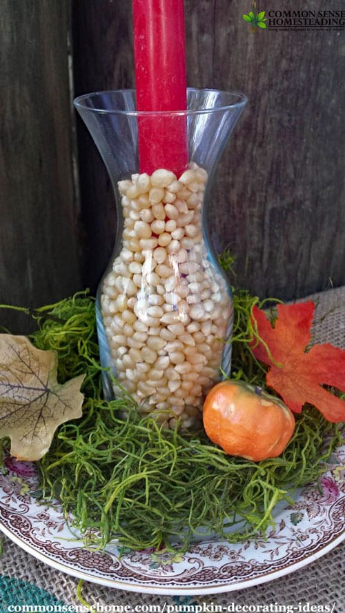 Fun and easy pumpkin decorating ideas with fresh pumpkins, flowers and herbs from your garden, common pantry and craft items to brighten any room.