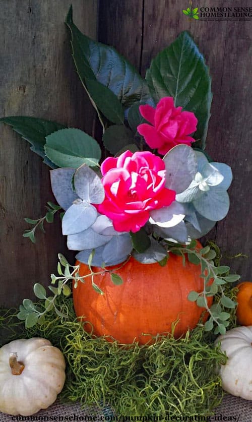 Fun and easy pumpkin decorating ideas with fresh pumpkins, flowers and herbs from your garden, common pantry and craft items to brighten any room.