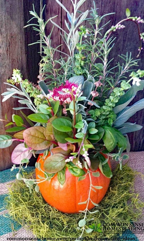 Fun and easy pumpkin decorating ideas with fresh pumpkins, flowers and herbs from your garden, common pantry and craft items to brighten any room.