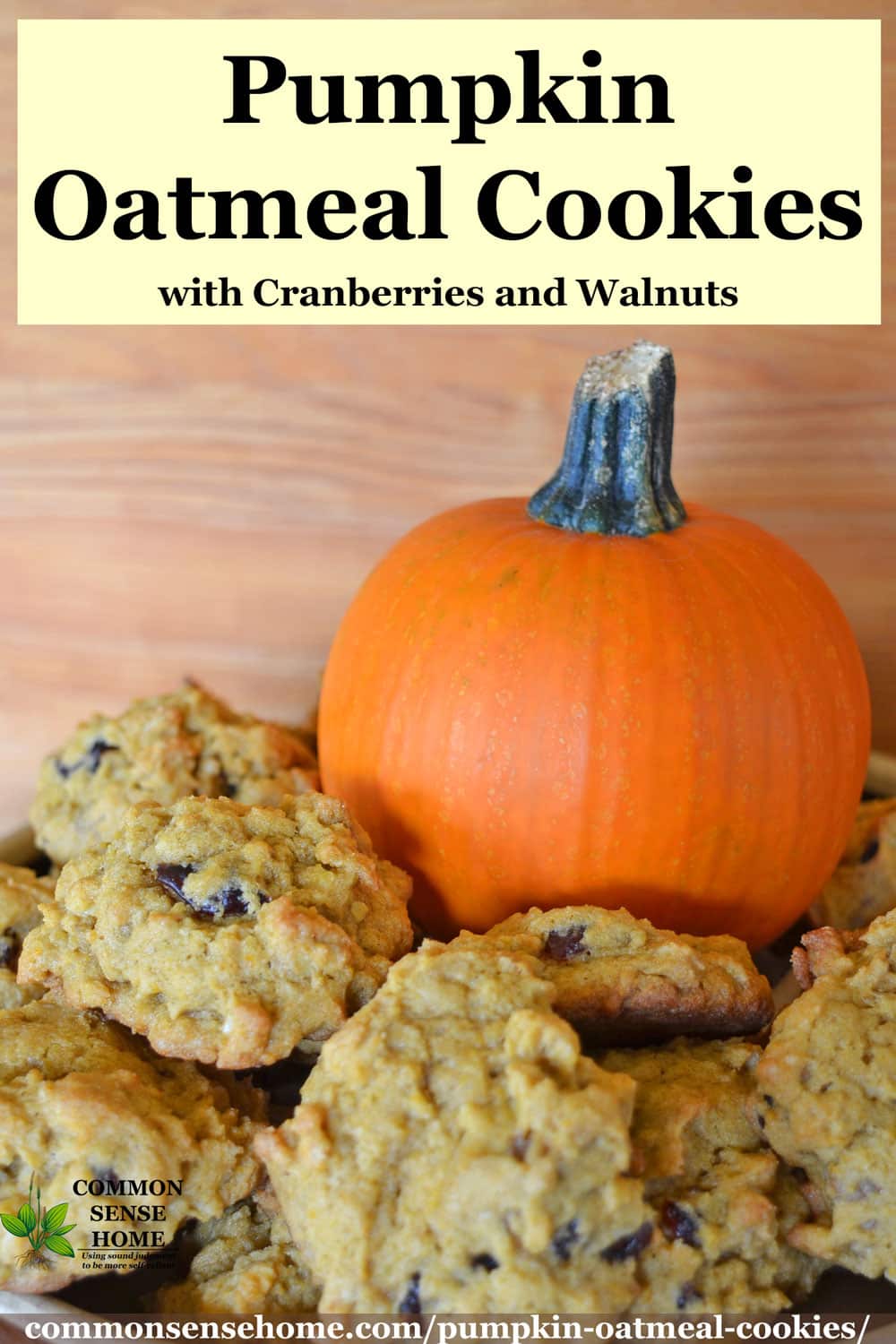 pumpkin oatmeal cookies with small pumpkin