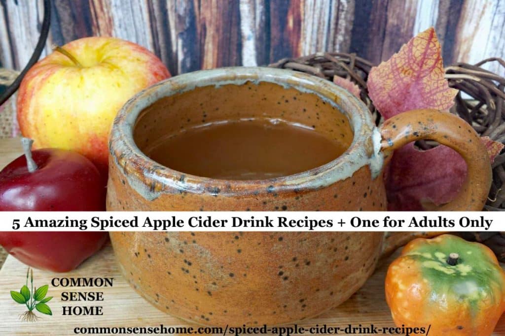 Apple cider in short cup