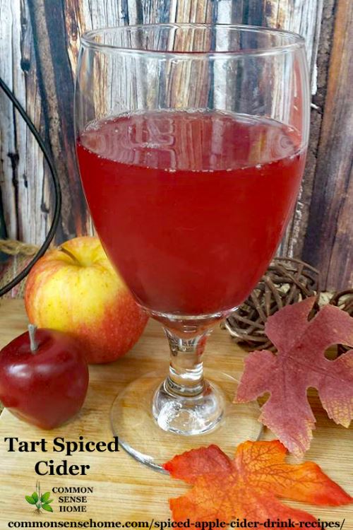 Tart spiced cider