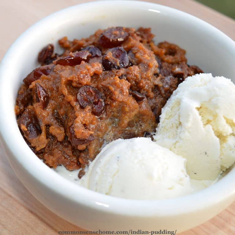 Indian Pudding Recipe with Cranberries and Maple Syrup