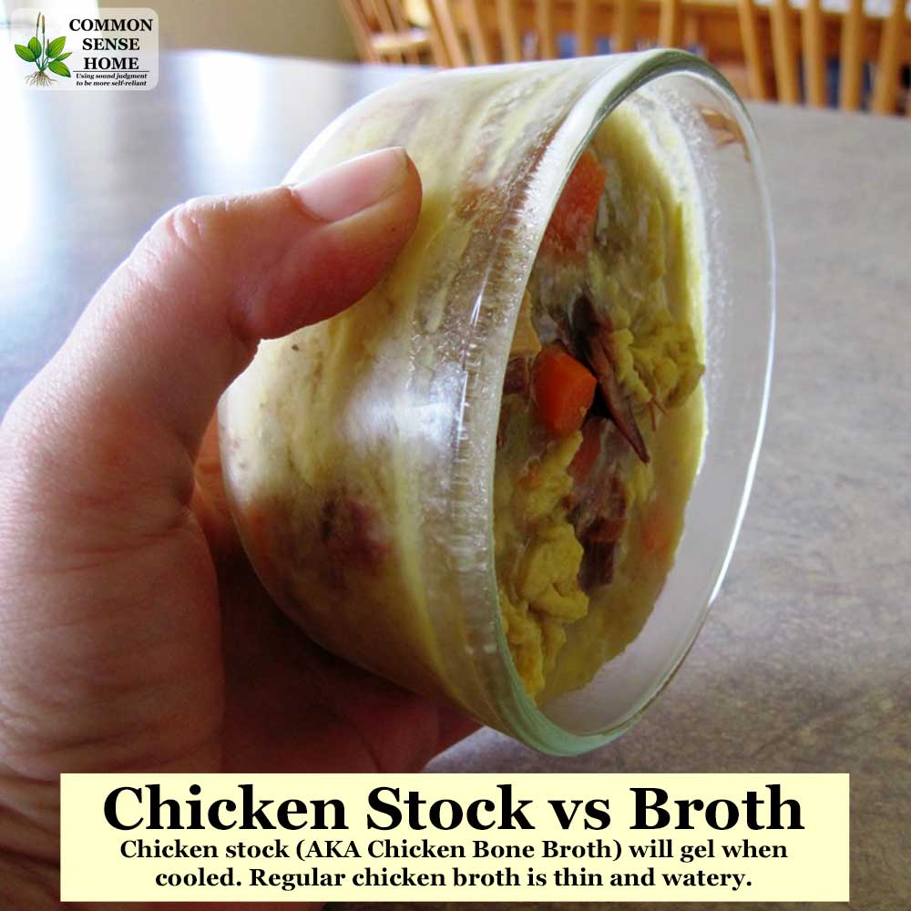 chicken broth vs stock