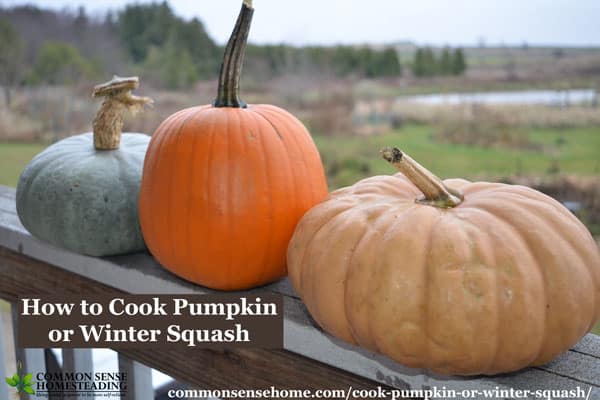 How to cook pumpkin in the oven, on the stove and in the microwave, plus tips for sweeter pumpkin, how much puree you get from one pumpkin and recipes.