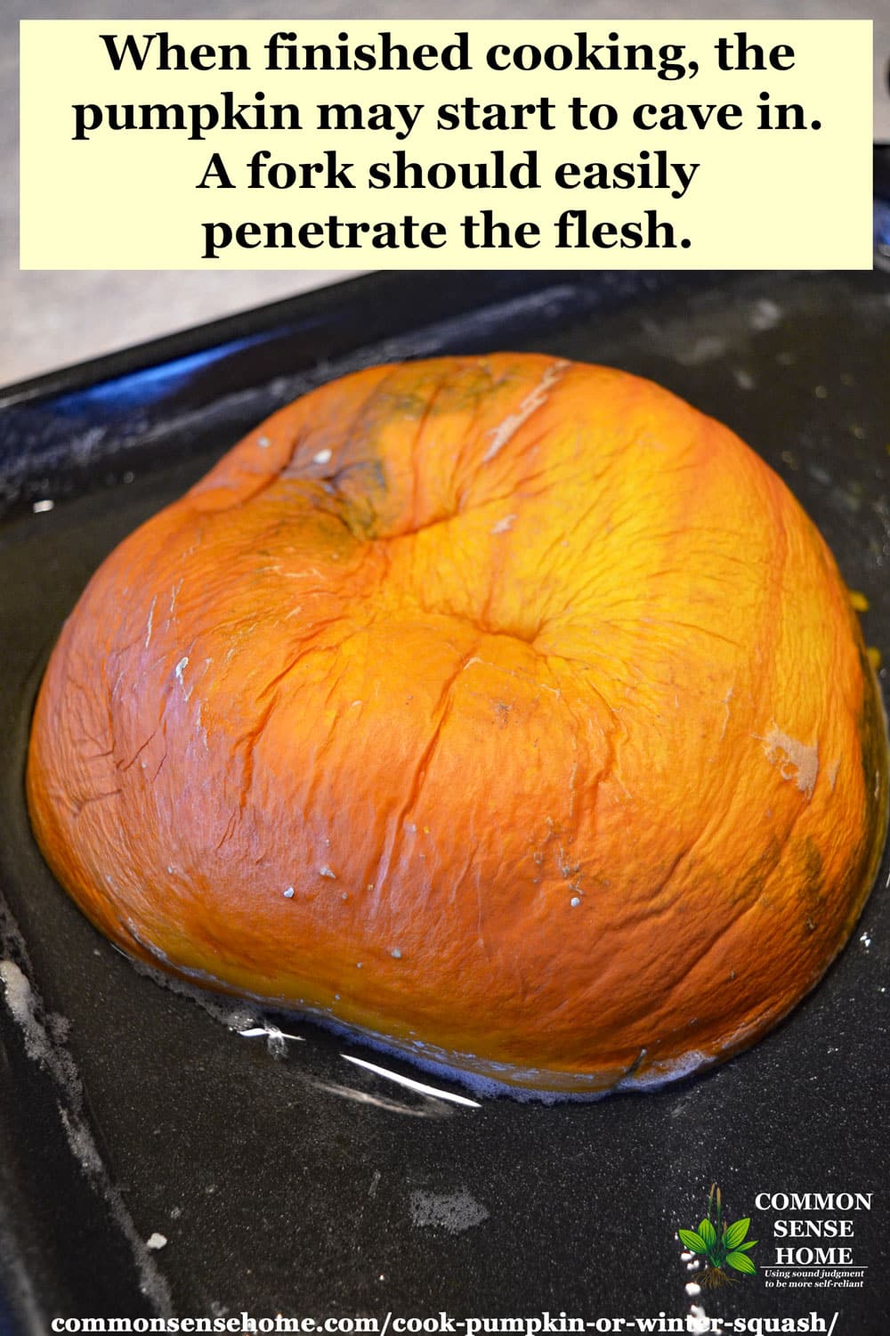 cooking pumpkin