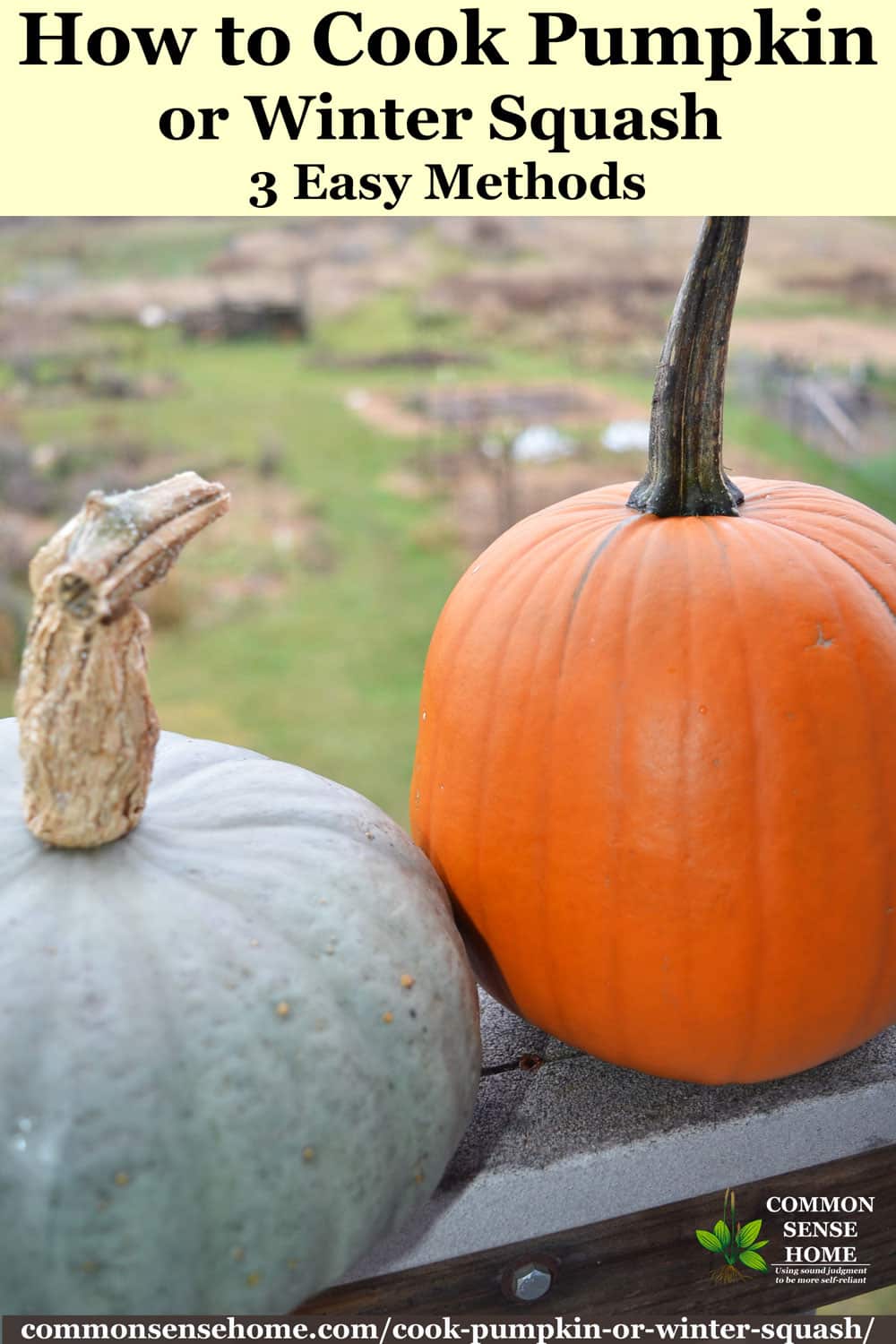 How To Cook Pumpkin Or Winter Squash 3 Easy Methods