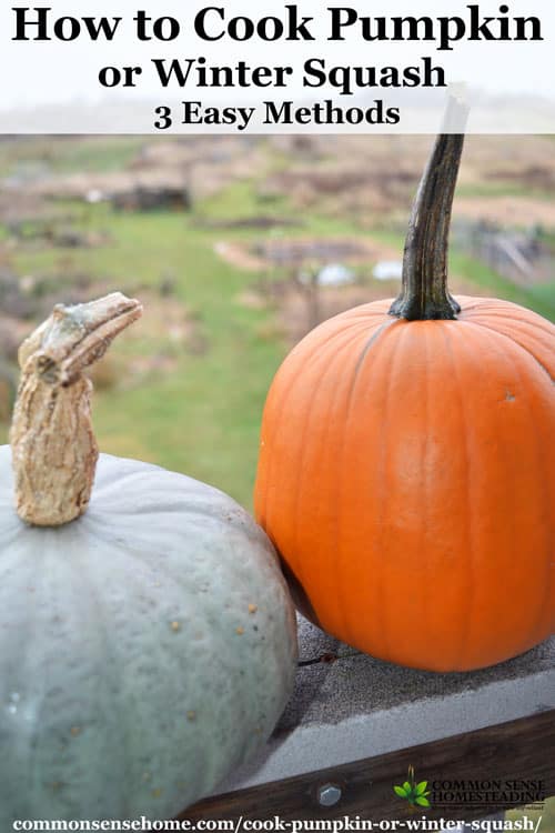 Ways To Cook Pumpkin