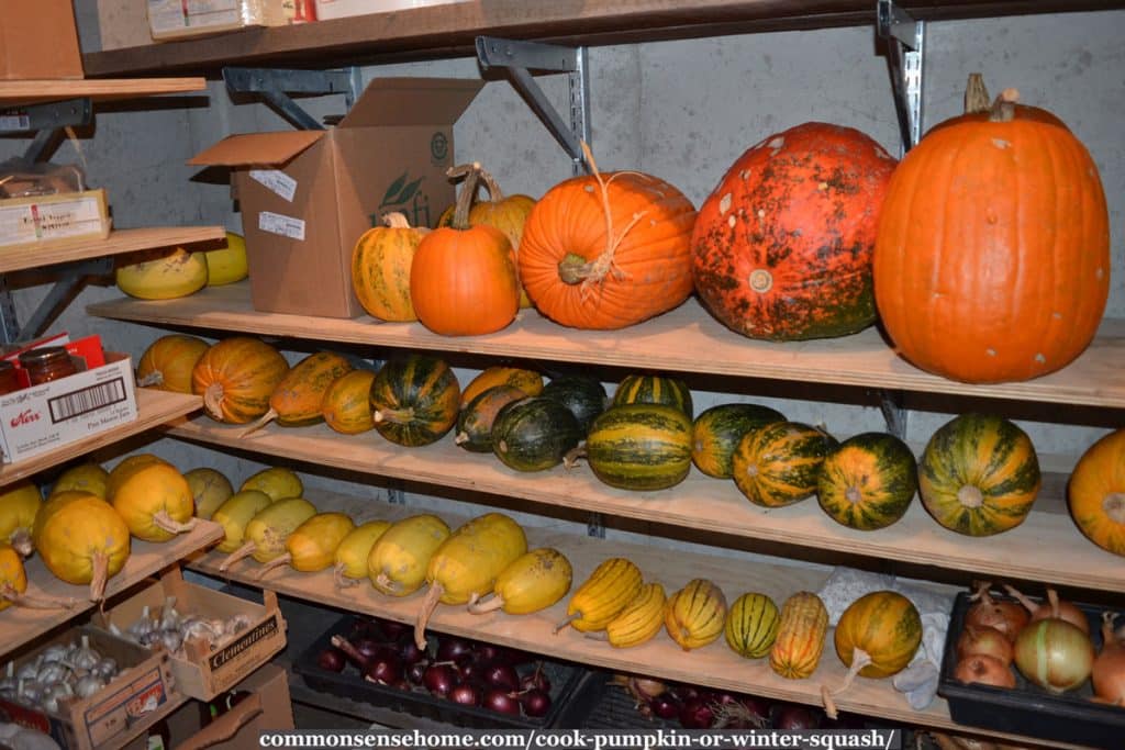 pumpkins and squash