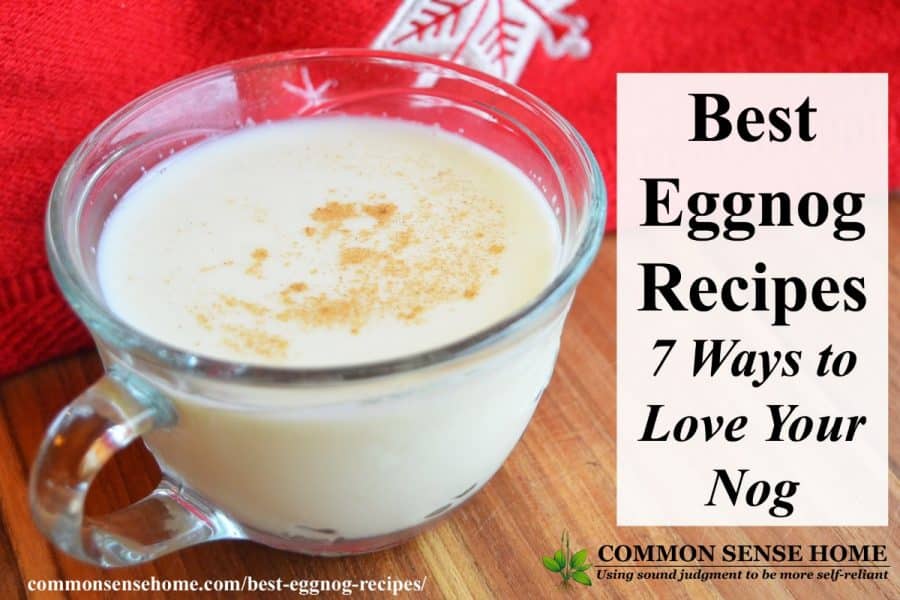 Best Eggnog Recipes - (Includes Allergy Friendly Options)